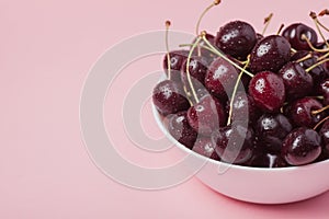 White bowl of fresh red cherries on a pink background. Copy space. close-up