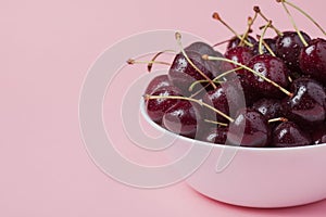 White bowl of fresh red cherries on a pink background. Copy space. close-up