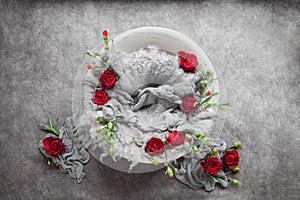 White bowl for a newborn photo shoot decorated with a gray cloth with red roses