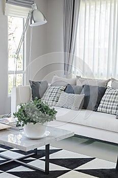 White bowl of plants on table in modern living room