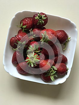 A white bowl of strawberries in the midday sun - FRUIT - VEGAN