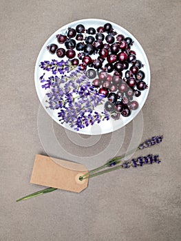 White bowl of yogurt with blueberries and Lavenders on concrete background.