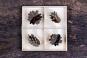 A white box with compartments on a wooden background filled with tree cones