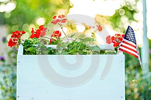 White box of geraniums with small American flag in the garden