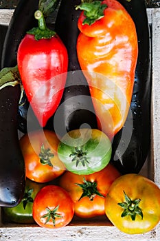 White box with vegetables on a rusty background. Aubergines, bell pepper, tonatoes.