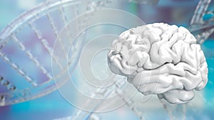 The white Brain on Dna background for sci or health and medical concept 3d rendering