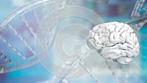 The white Brain on Dna background for sci or health and medical concept 3d rendering