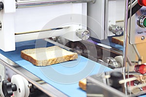 white bread in blue conveyor line for processing