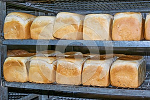White bread fresh out of the bakery oven