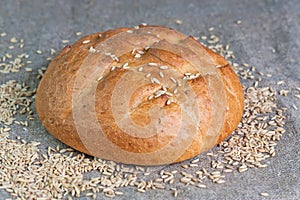 White bread and grains of wheat