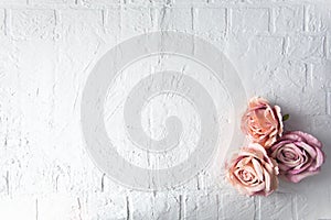 White brick vintage background with rose heads