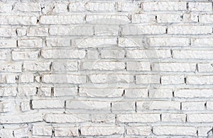 White brick wall background.