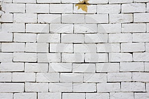 A white brick wall