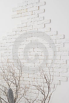 White brick wall background with branches from the bottom.