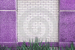 White brick wall with purple marble pole patterns and green leaf plant on background ,copy spcae