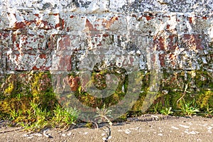 White brick wall. Rough masonry. Moss, lichen at the bottom of the wall. grunge background texture