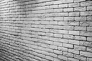 White brick wall texture background