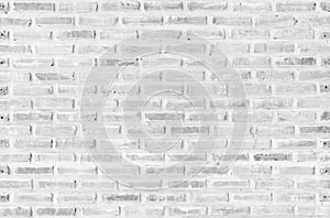 White brick wall texture background