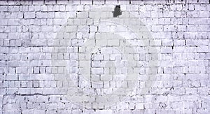White bricks, urban background photo