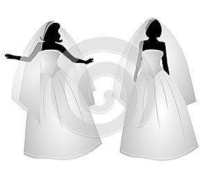 White Bridal Gown Dress Silhouettes