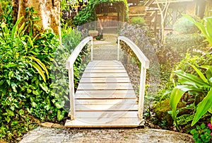 White bridge across walkway sylvan