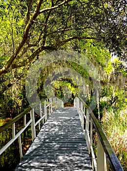 White bridge in Charleston, South Carolina