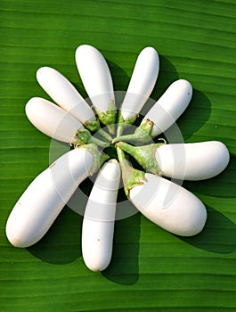 White brinjals