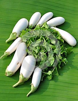 White brinjals with mint