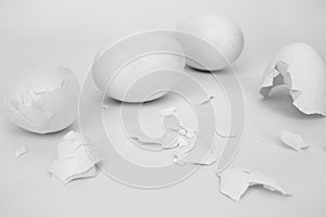 White,  broken,  eggs, shells, white background