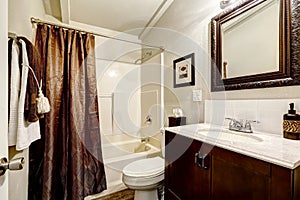 White and brown bathroom interior