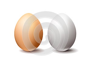 White and brown chicken eggs on white background