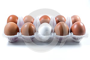 White and brown chicken eggs in a plastic package.