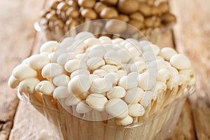 White and brown edible beech mushrooms or Shimeji or buna and bunapi in plastic container closeup. Horizontal
