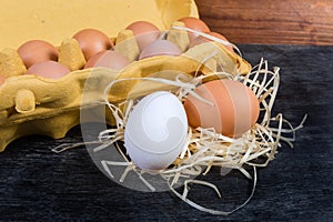 White and brown egg against of the cardboard egg tray photo