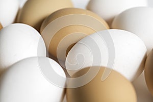 White And Brown Eggs