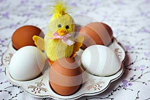 White and brown eggs and a toy chicken on a special plate. natural color. Preparation for Easter. Diet and Healthy eating