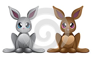 White and brown rabbits
