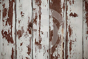 White and brown real Wood Texture Background. Vintage and Old.