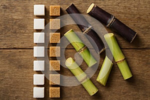 White and Brown Sugar Cubes with Raw Sugar Cane AI-GENERATED