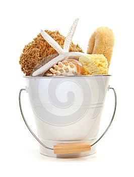 White bucket filled with sponges and brushes