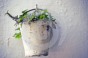 White bucket with plants hanging on the wall.