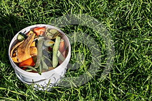 White bucket of vegetable and fruit peels against long green grass