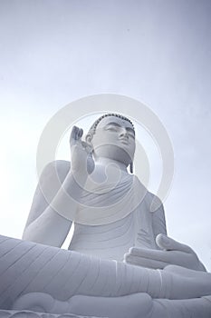 White buddha
