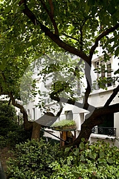 A white building behind the trees with lots of greens in Montmartre. photo