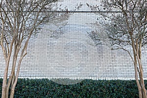 White building blick wall park hedges trees