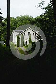 White building facade surrounded by dense trees