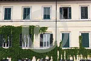 White building with natural wall