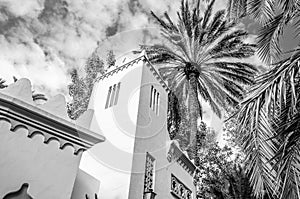 White building in the palm grove of Elche