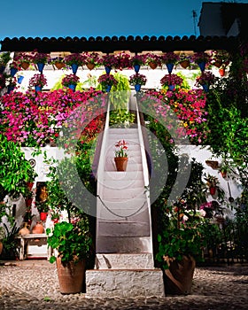 White building with a stairway decorated with beautiful and colorful flowers