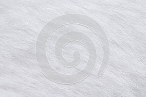 White bunny fur background